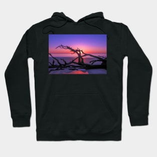 Purple Driftwood Sunrise Hoodie